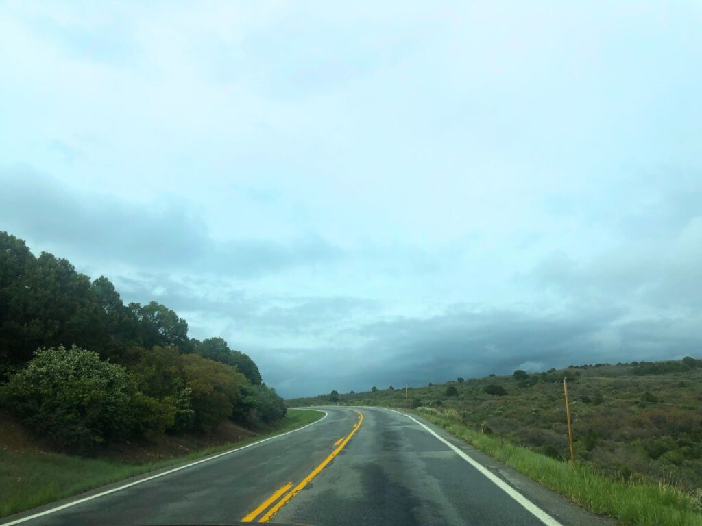 the road in Black Canyon of the Gunnison. It's pretty overcast on this 2 lane road with shrubs on either side. There is no view of the canyon from the road