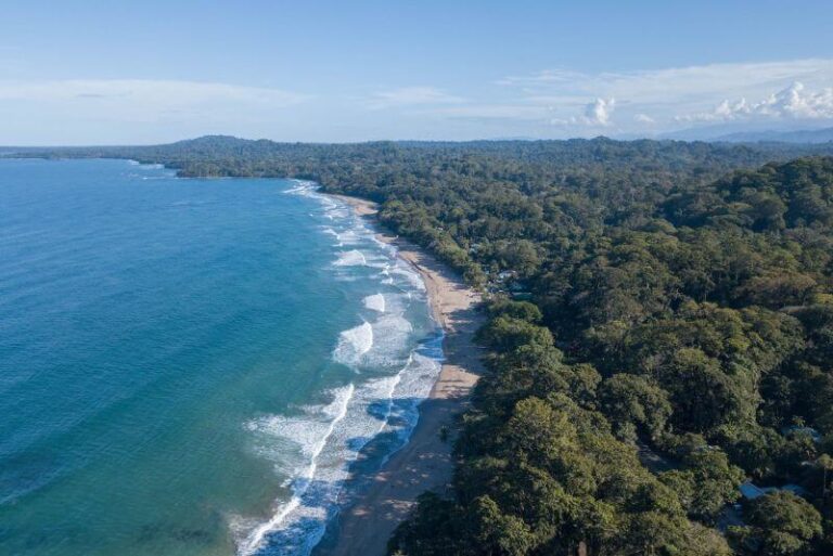 aerial view of ocean and thin beach with thick jungle