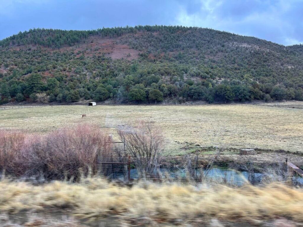 the road from White Sands to Carlsbad Caverns, looking out to an open field with a small mountain in the background and an animal eating in the brown field