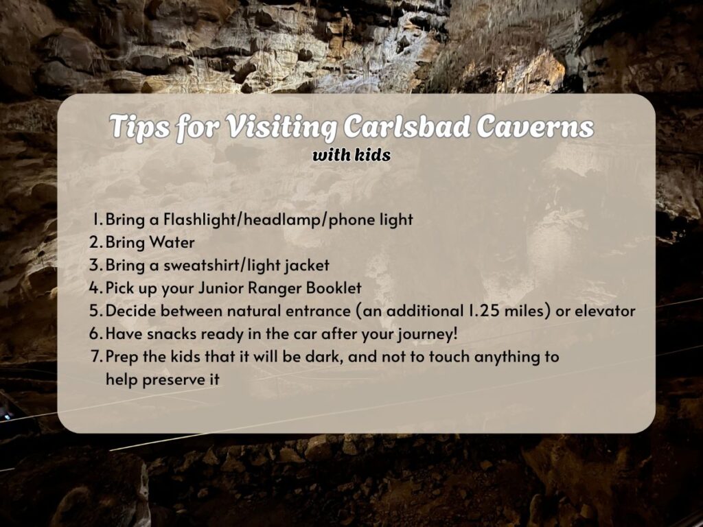 Graphic with background image of a cave.  Text in front says "tips for visiting Carlsbad Caverns with Kids: Bring a Flashlight/headlamp/phone light
Bring Water
Bring a sweatshirt/light jacket
Pick up your Junior Ranger Booklet
Decide between natural entrance (an additional 1.25 miles) or elevator
Have snacks ready in the car after your journey!
Prep the kids that it will be dark, and not to touch anything to help preserve it
