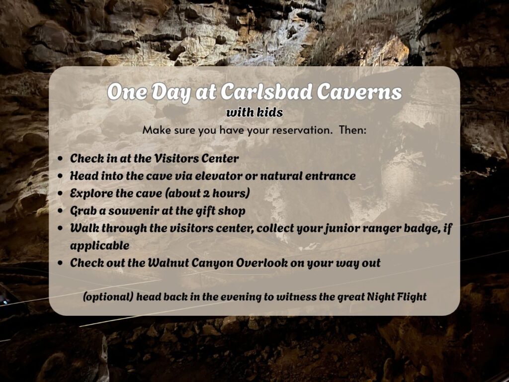 graphic one One Day in Carlsbd Caverns with Kids.  Check in at Visitor Center.  Head to Cave via natural entrance or elevator. Explore the cave (about 2 hours).  Grab a souvenir at the gift shop.  Walk through the visitor center, grab your ranger badge, if applicable.  Check out Walnut Canyon Overlook on your way out.  (optional) head back in the evening to witness the Great Night Flight