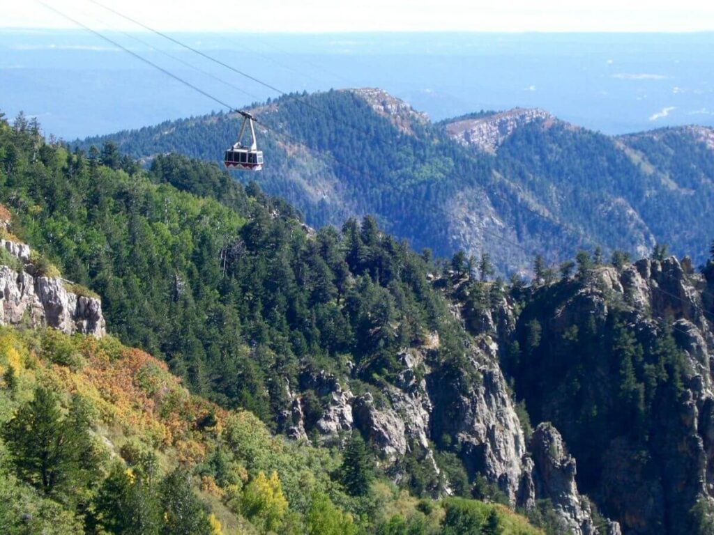 tree covered mountains with a tram that appears small at the distance hanging overhead going up the mountain