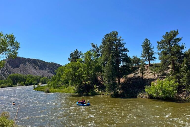 a large, brown river with one raft of people paddling down. Blue skies, green vibrant trees along the sides