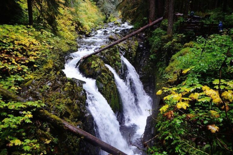 sol duc falls at Olympic National Park. Three seemingly separate waterfalls coming down a rock area with green and yellow plants above