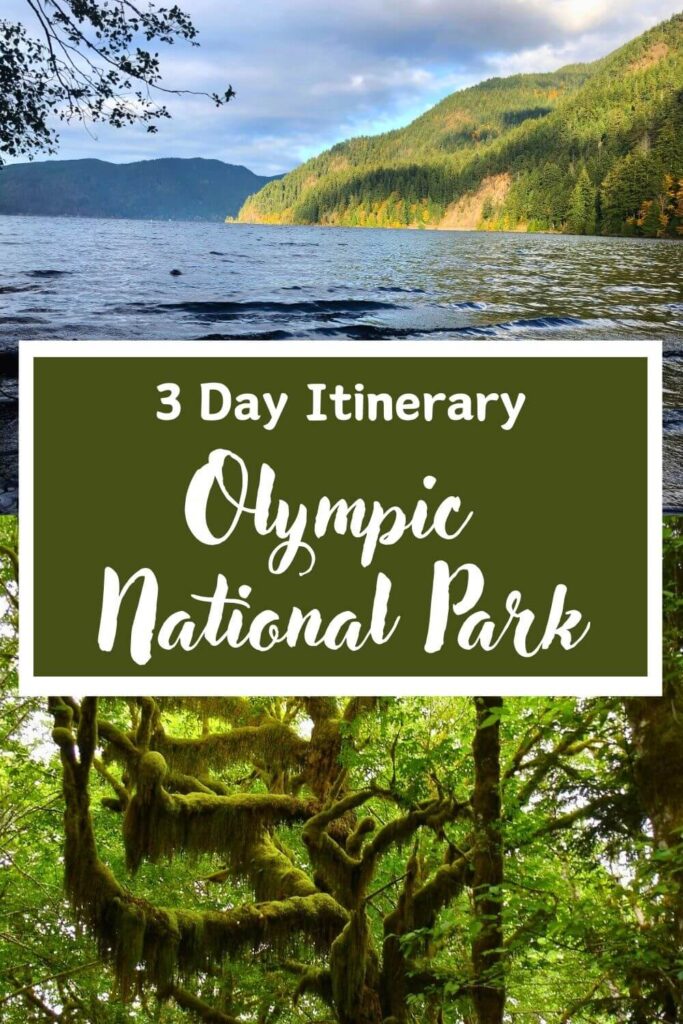 pinnable image of "3 day itinerary Olympic National Park" with two pictures on top of each other. Top is a lake with a green hill to the right. Bottom is a close up of a mossy green tree in a forest