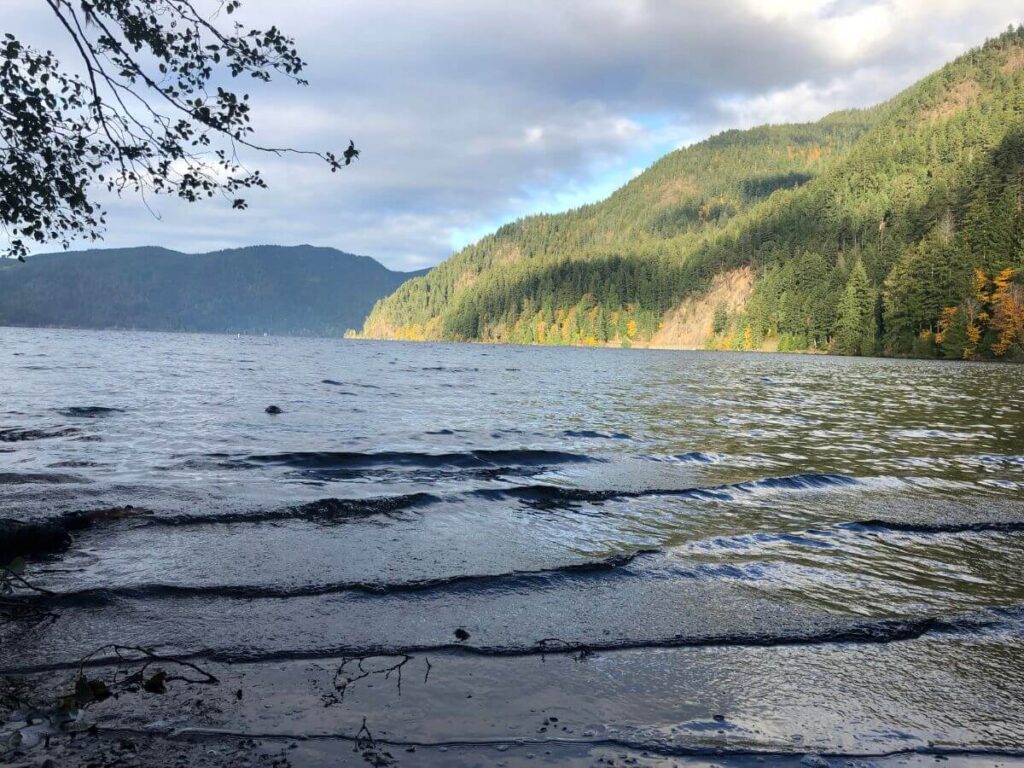 looking over lake Crescent in Olympic National Park with gentle, shallow ripples rolling in toward shore. A hill on the right has a few patches of golden fall colors and a sparcley-leafed tree hangs just in the top left corner
