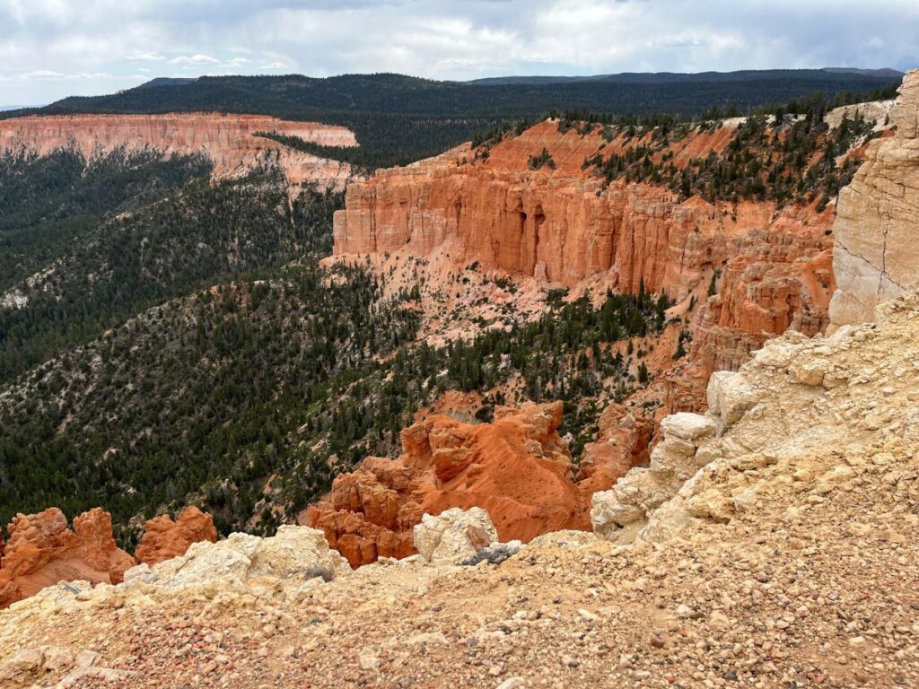 The bristlecone loop in Bryce Canyon. This viewpoint shows thick trees among red rock forms in the distance. Beige sandy rock is in the near foreground
