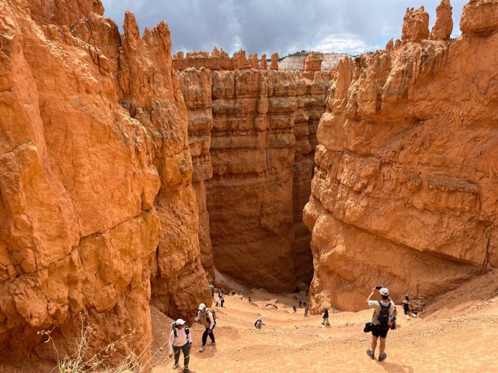 standing at the top of red dirt trail that makes steep switchbacks between two tall red rock walls in Bryce Canyon