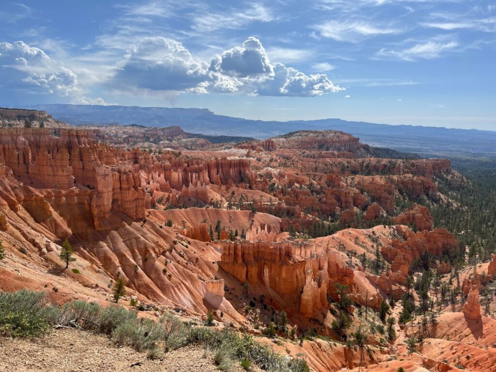 overlooking Bryce Canyon's main amphitheater. Orangish red hoos doos stick up in the distance below a cloudy sky. Pine trees are sparsley scattered throughout. This is how to start one day in Bryce Canyon with kids
