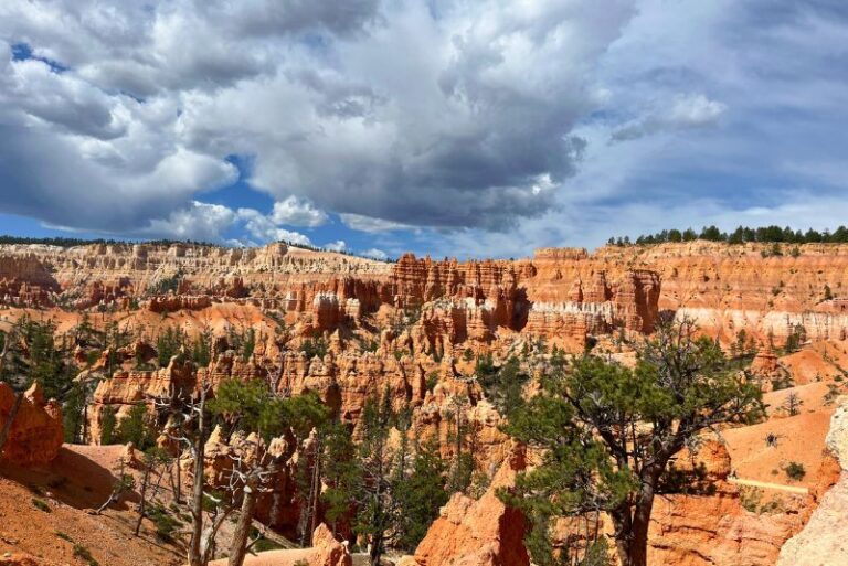 looking in the distance to a landscape in Bryce Canyon. This view shows spires and hoodoos and a couple trees in the foreground.