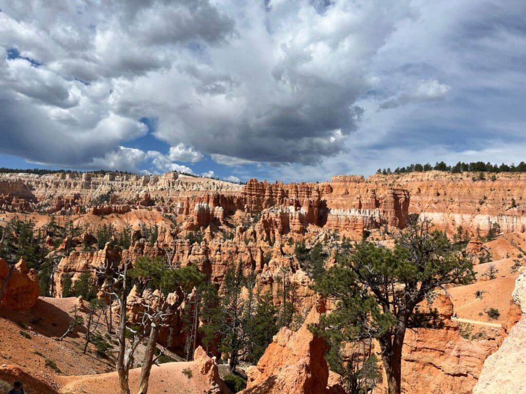 looking in the distance to a landscape in Bryce Canyon. This view shows spires and hoodoos and a couple trees in the foreground.