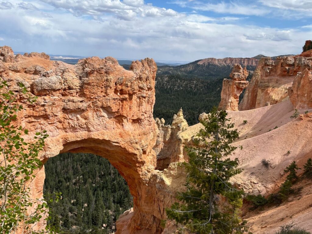 one viewpoint at Bryce Canyon is Natural Bridge. An arch made in the red rock sits in the foreground of a forested mountainside