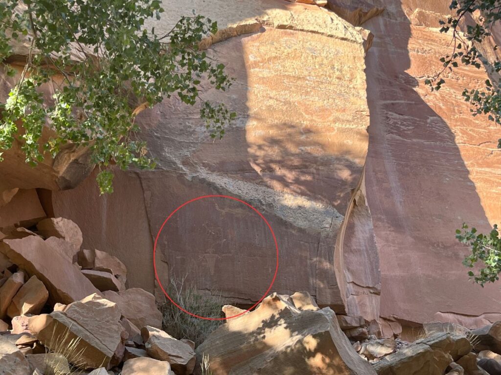 smooth rock wall with a red circle pointing out a petroglyph on the wall