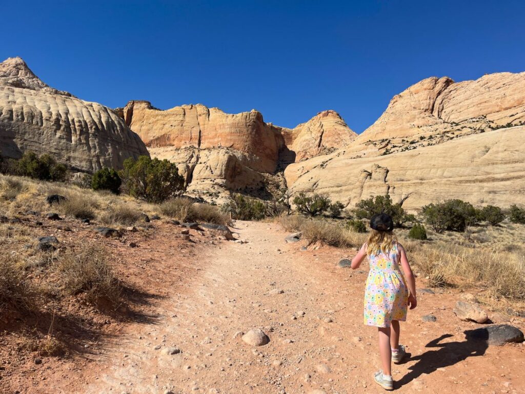 little girl in a dress and black hat walking on a light reddish beige dirt trail with beige rock walls ahead on the Hickman Bridge trail in Capitol Reef