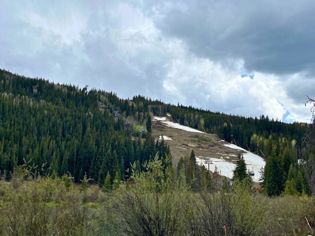 looking at Keystone mountain resort in summer. Lots of green trees and bushes and remnant patches of snow