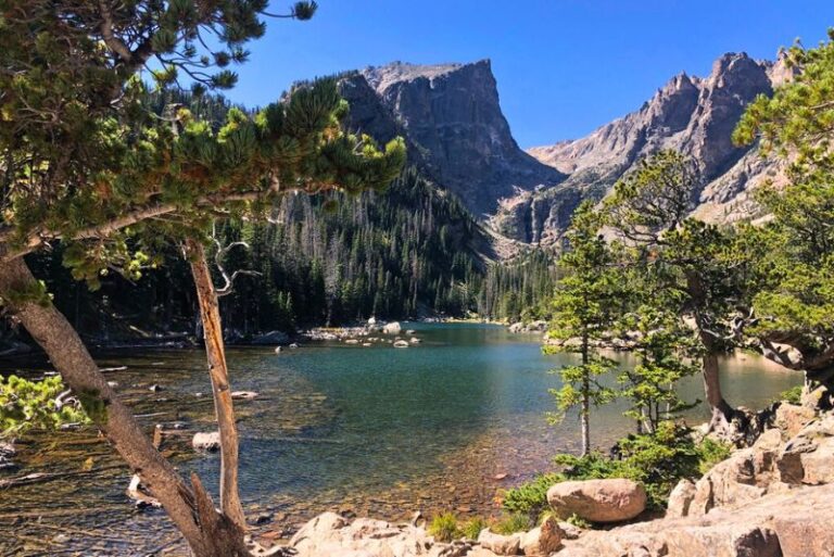 Dream Lake at Rocky Mountain National Park. Two thin trees protrude in the foreground with a bluish hue lake beyond and mountain peaks behind the lake