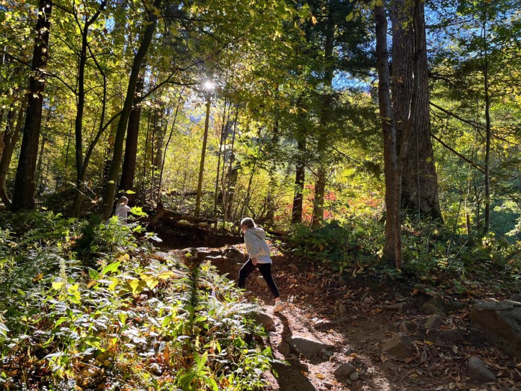 sun shining golden through the trees on the Rainbow Falls trail in Great Smoky Mountains.  Two girls hike up the path ahead