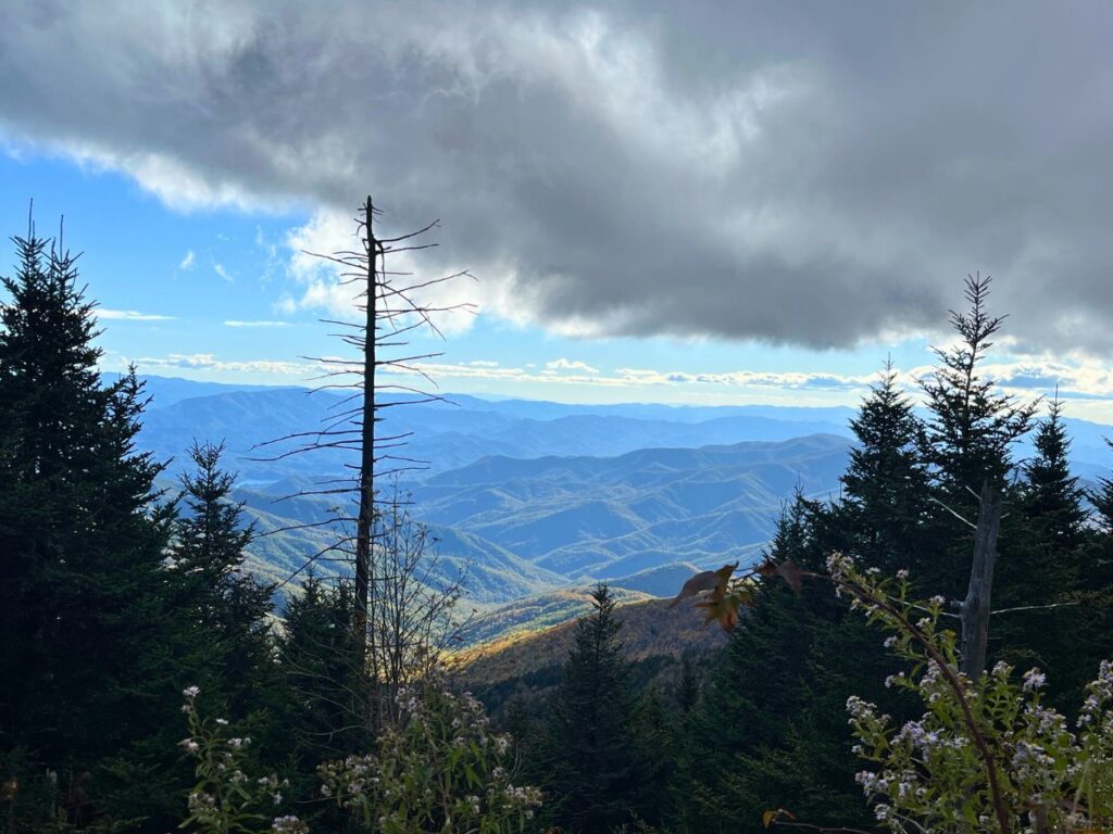 view of mountains in the distance in a bit of a haze, trees in the foreground from the Kuwohi Lookout in Great Smoky Mountains
