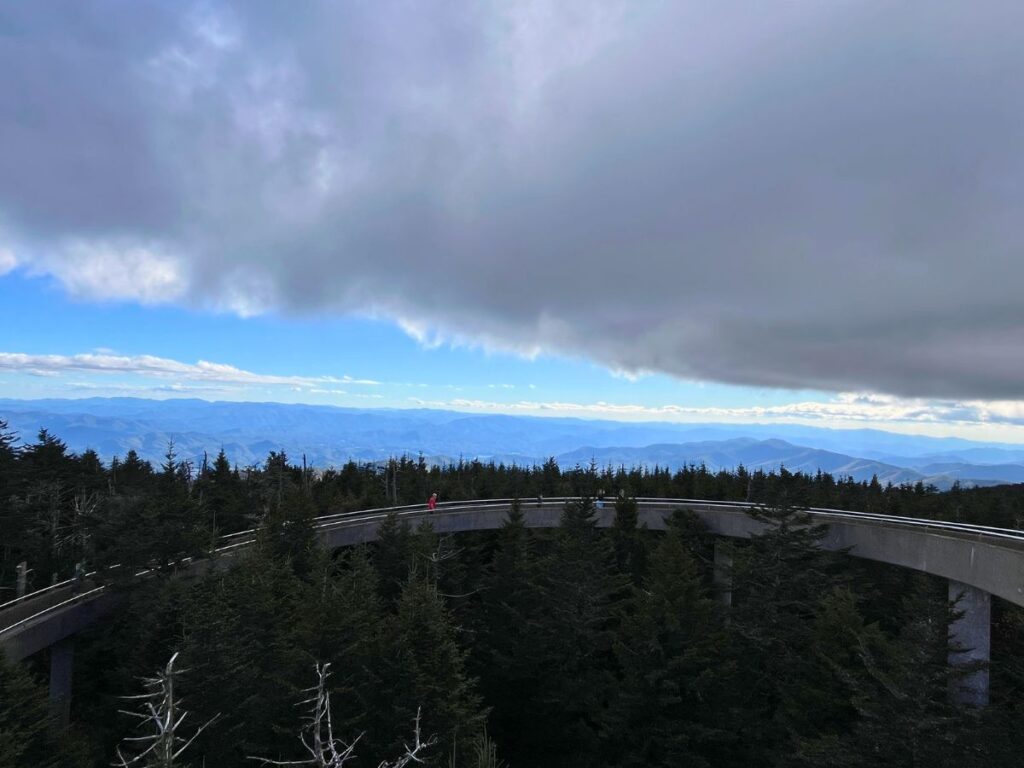 view of mountains and tall trees that ascend into a cement walkway coming down from an observation point