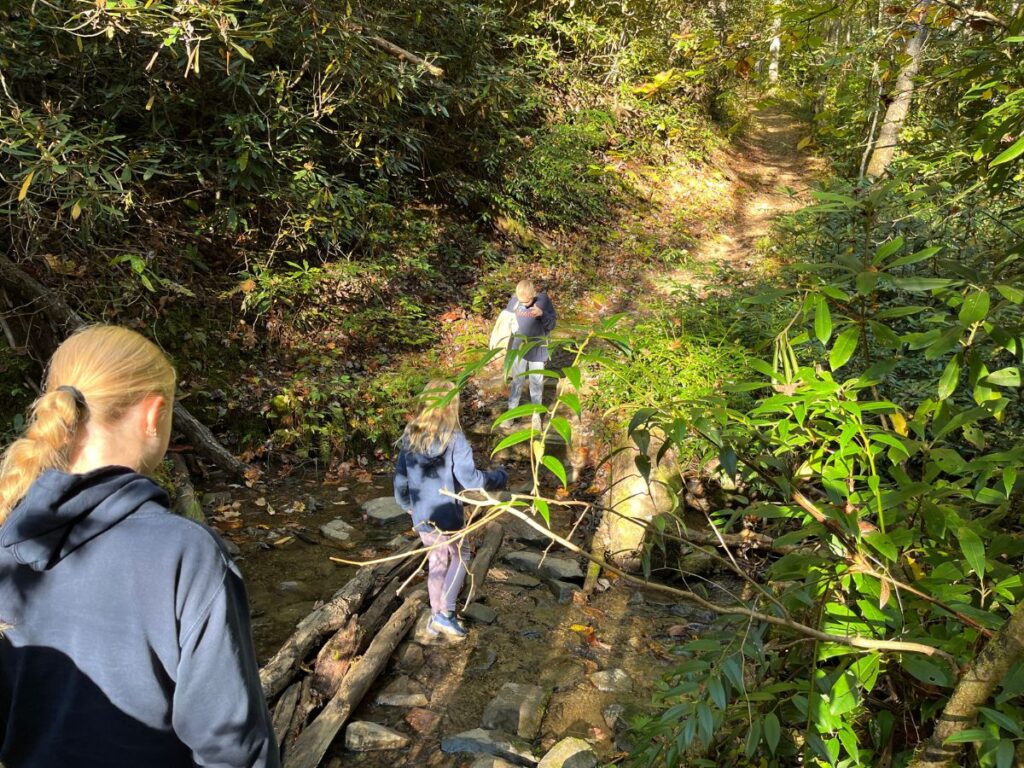 Kids crossing a shallow creek over logs and rocks on the Baskins Creek Falls Trail in Great Smoky Mountains
