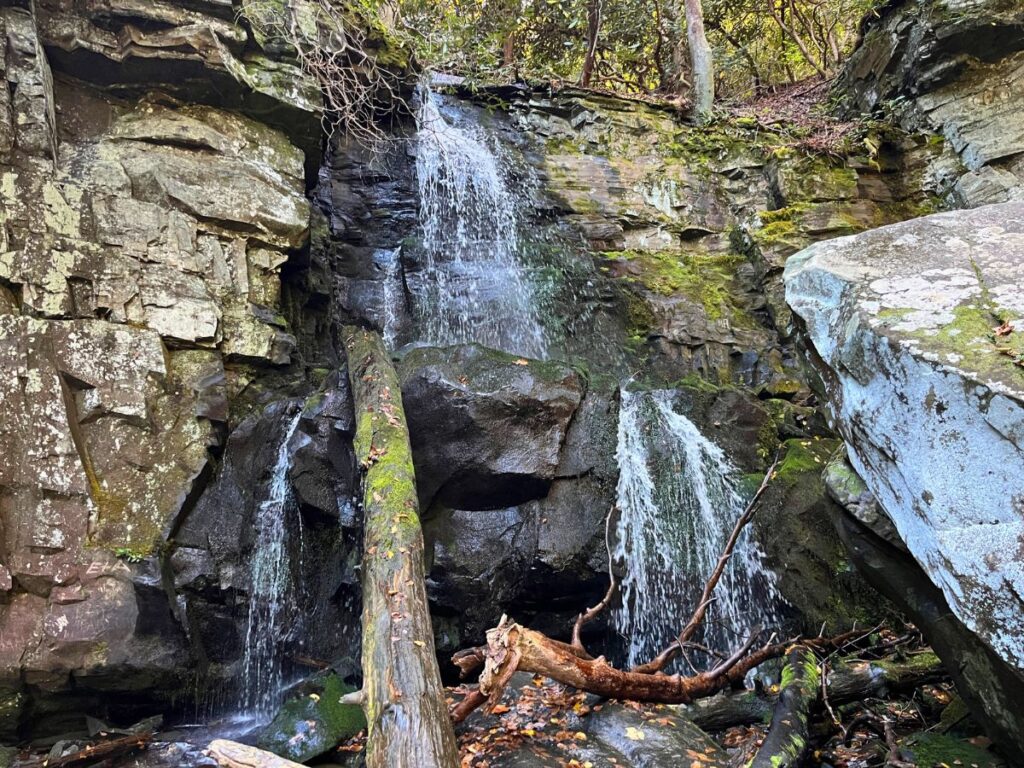 Baskins Creek Falls in Great Smoky Mountains National Park, A two-tiered falls and a tree log to the left of center