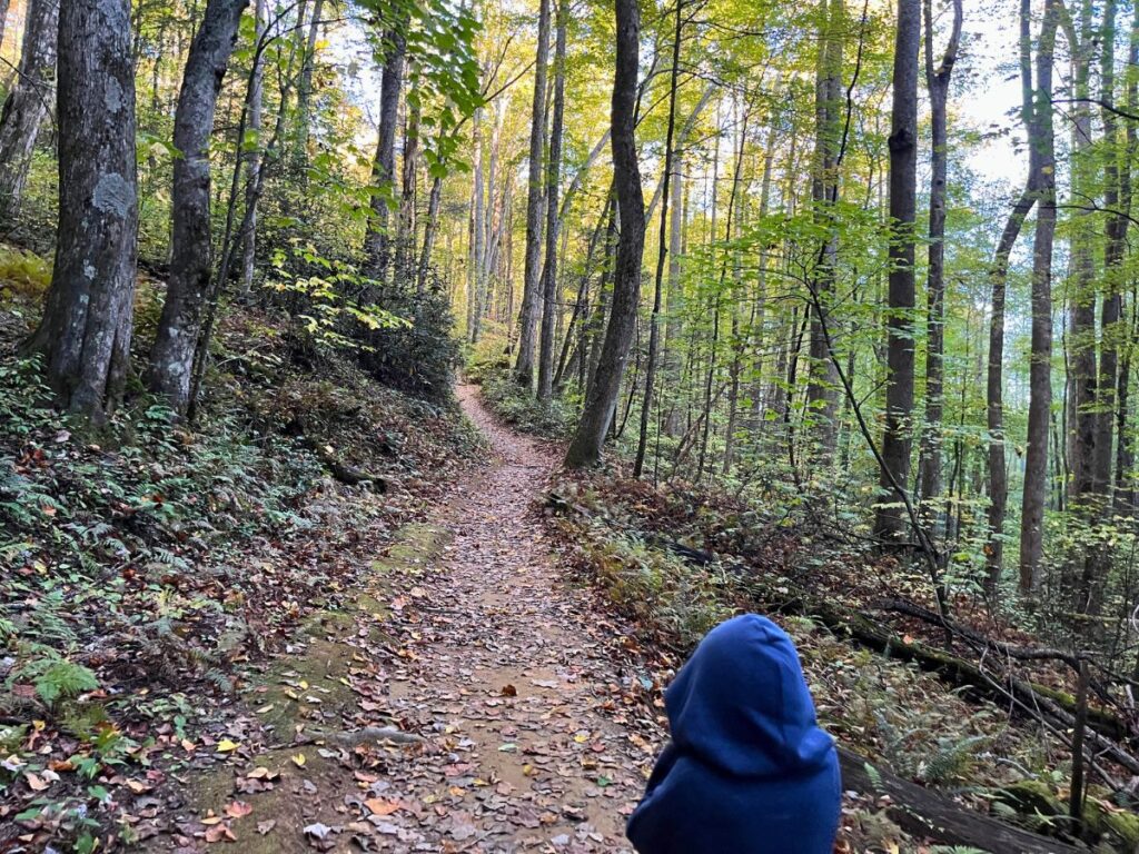 a child with their sweatshirt hood up walking up a leaf-covered Baskins Creek Falls trail in lots of tall skinny trees
