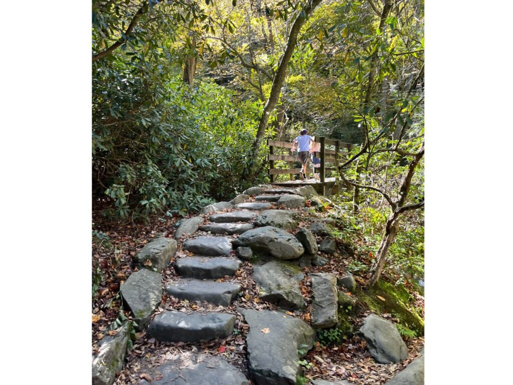 large rocks smoothed out and made into stairs on the Chimney Tops trail at Great Smoky Mountains National Park. Kids beginning to cross a wooden bridge at the top of the rocks.