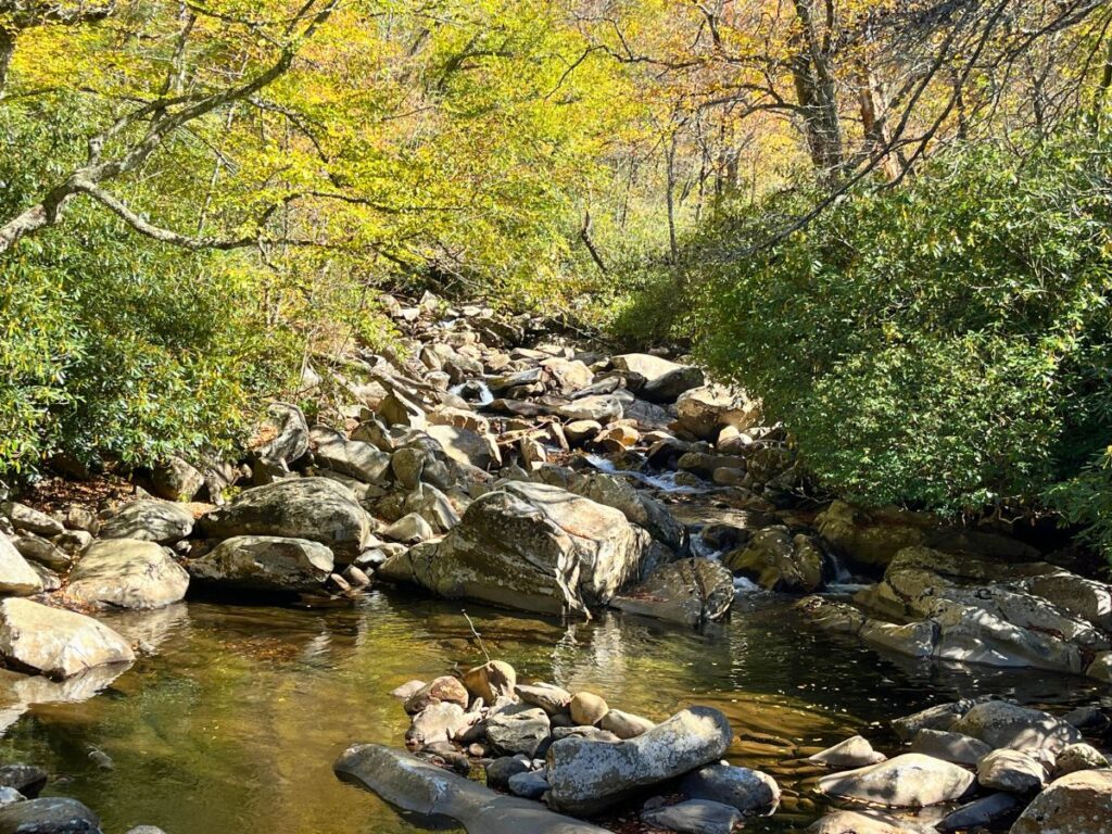 golden sunlight lights up a small river with a small cascade waterfall in the rocks as you hike to the Chimney Tops waterfall in Great Smoky Mountains National Park