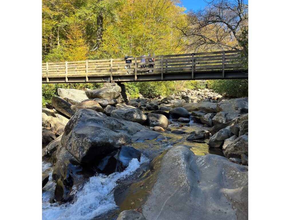 looking up at a wooden bridge from down below at the riverside of the Chimney Tops trail in great smoky mountains