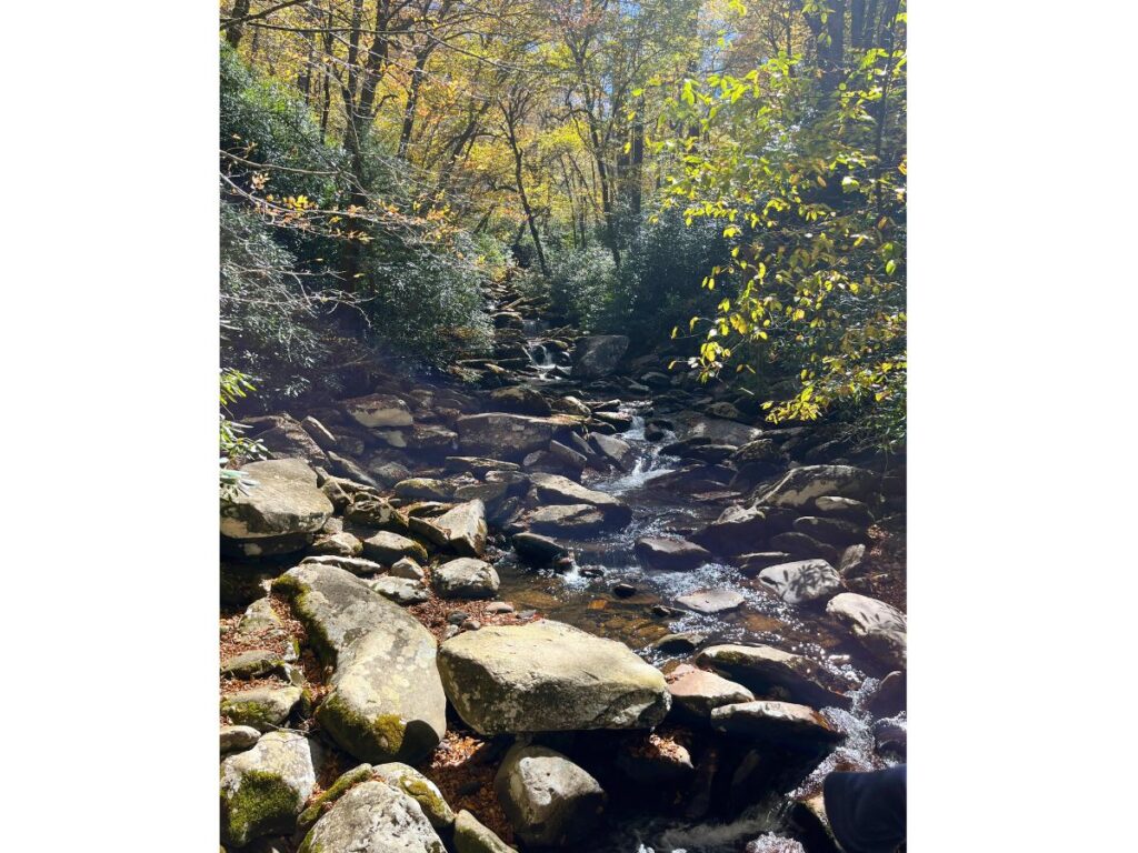 Water cascading down big rocks in a river at the Chimney Tops trail