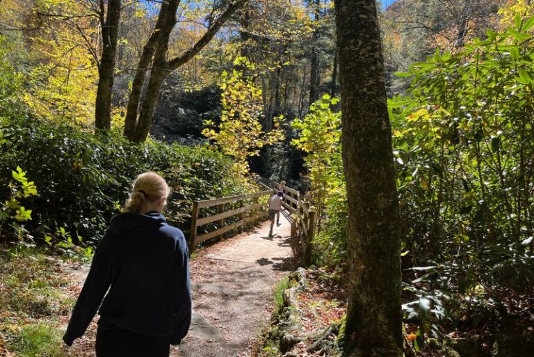 Kids hiking on a trail surrounded by trees starting to turn yellow