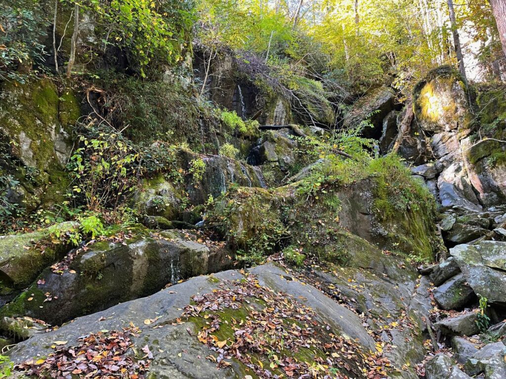 place of a thousand drips is one of many waterfalls in Great Smoky Mountain National Park. Lots of tiny little waterfalls coming off in different places of a rock wall on the side of the road. Include this on your drive down the Roaring Fork Motor Nature Trail during your 3 days in Great Smoky Mountains National Park
