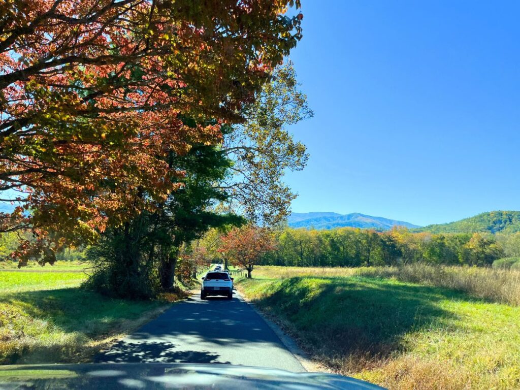 Cades Cove loop is a great scenic drive at Great Smoky Mountains National Park in October.  To the left is a large tree turning red casting a shadow on the one way road.  yellow-Green grass on the sides of the road.  Mountains in the distance
