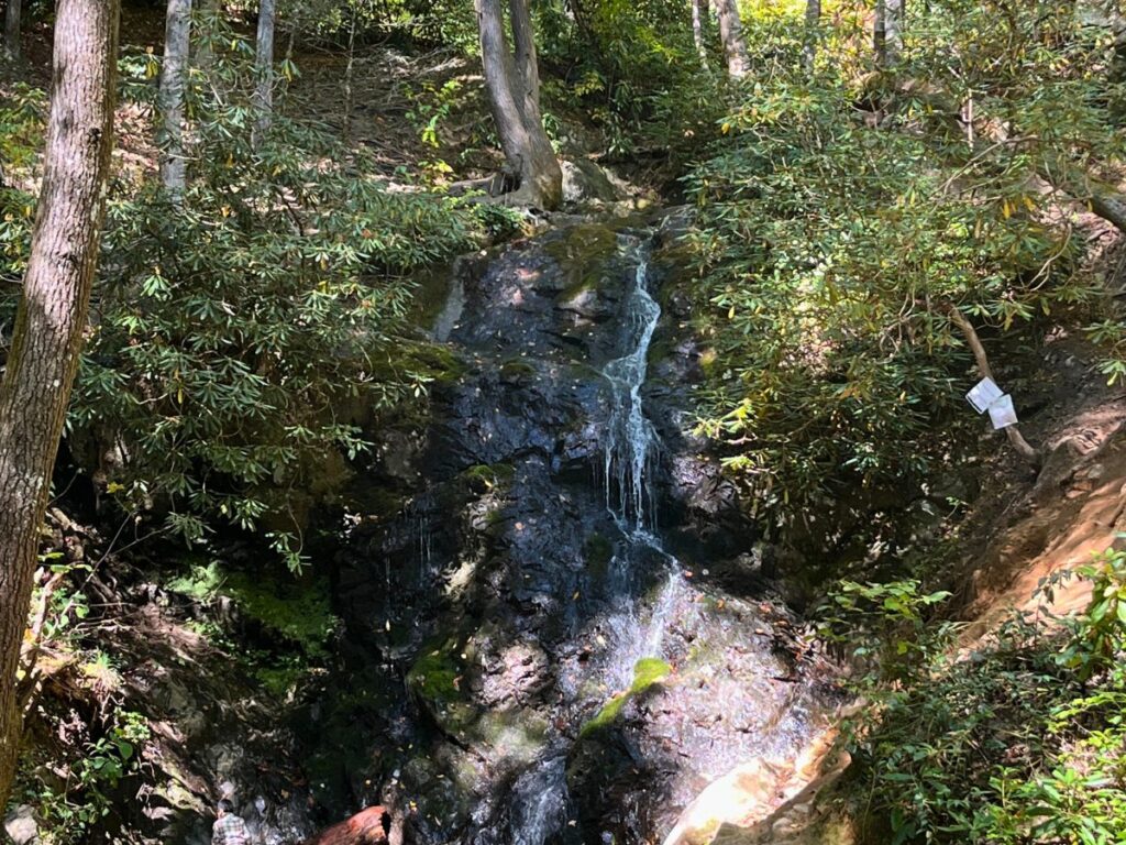 a weak waterfall flows down rock amidst lots of green foliage