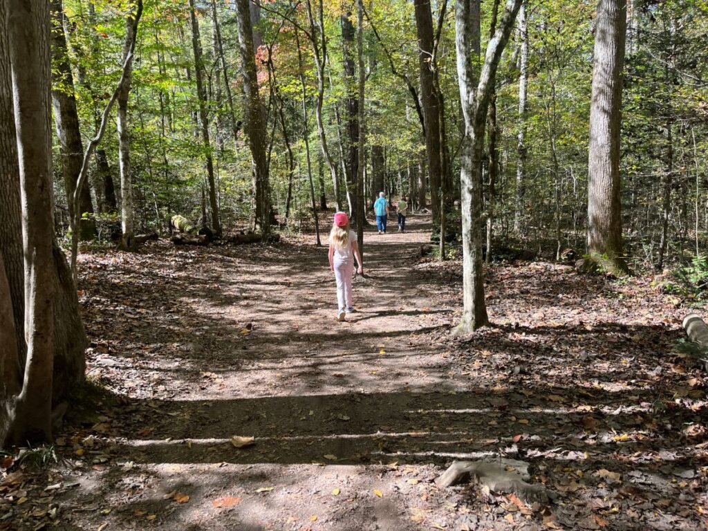 a little girl walks on a flat dirt trail through the trees. This is the trail to Cataract Falls in Great Smoky Mountains National Park