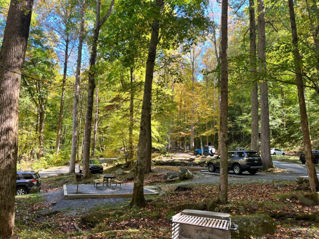 picnic area in Great Smoky Mountains National Park. A few spots for cars that can pull in next to a picnic table in the woods
