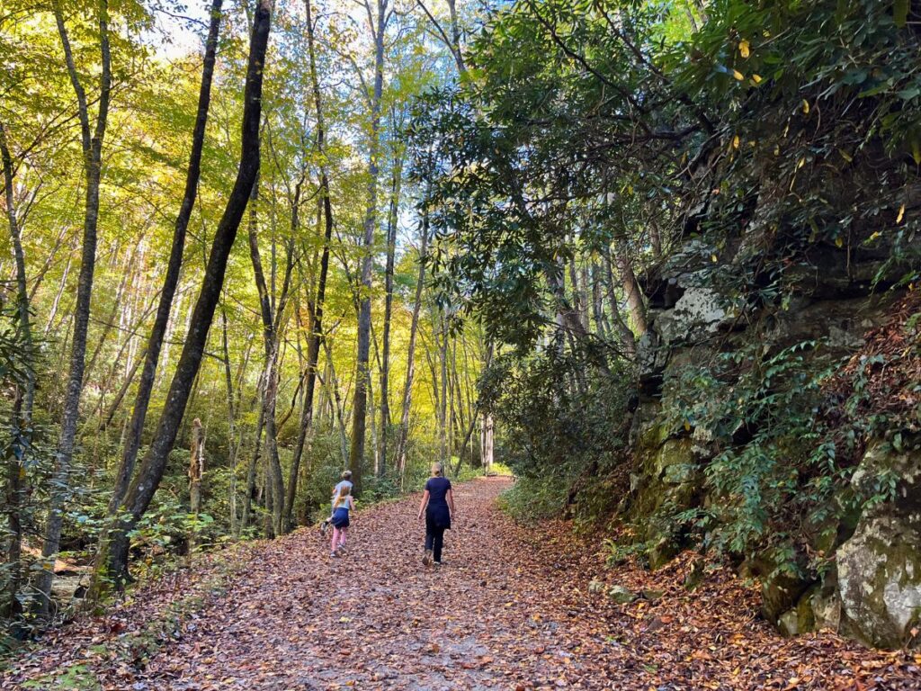 middle prong trail at Great Smoky Mountains National Park. A wide, flat, leaf-covered trail through the trees with a few kids running ahead