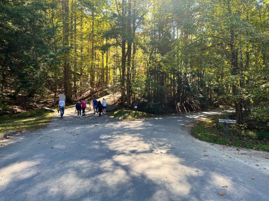 people going up a gravel road, the trailhead to Spruce Flats Falls