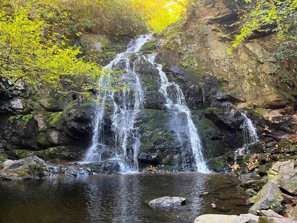 spruce flats falls in Great Smoky Mountains national park. A waterfall with bright yellow leaves framing the picture. Water flows over a few levels of rocks at the bottom