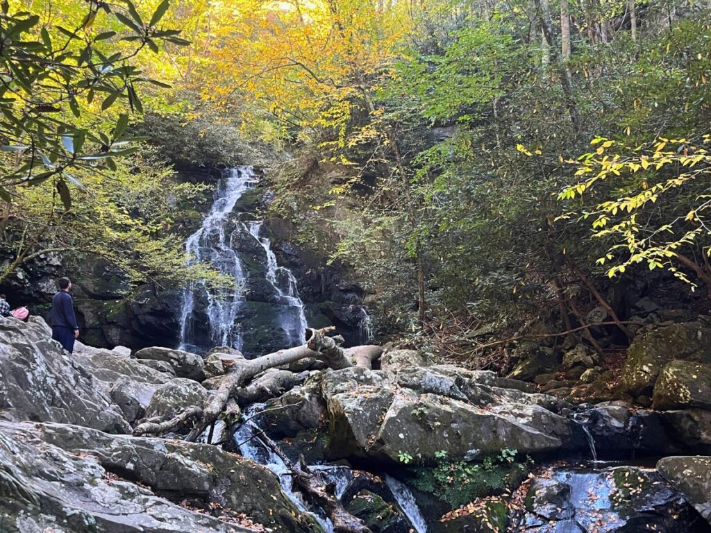 spruce flats falls in Great Smoky Mountains national park. A waterfall with bright yellow leaves framing the picture. Water flows over a few levels of rocks at the bottom