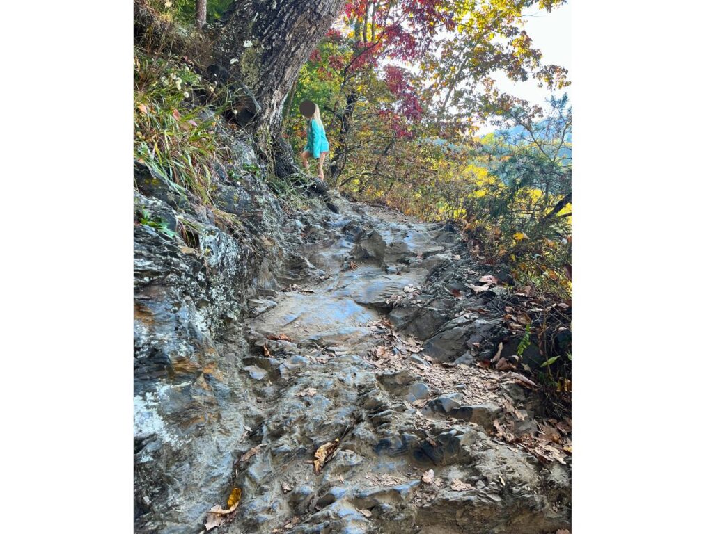 a girl in the distance in a blue sweatshirt has just gone up a rocky part of the spruce flats fall trail in Great Smoky Mountains national park