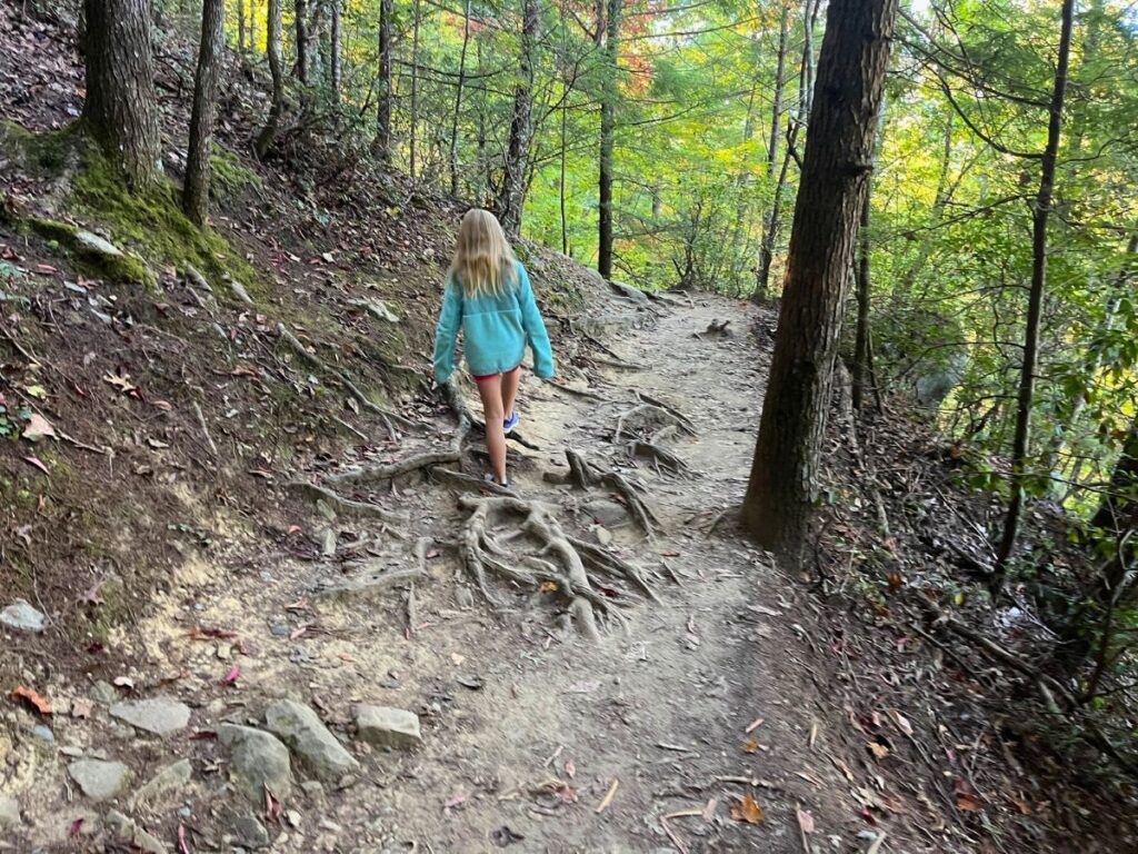 a young girl in a blue sweatshirt walks on a dirt trail amongst trees. She is walking on thick tree roots that have grown into the trail to Spruce Flats Falls