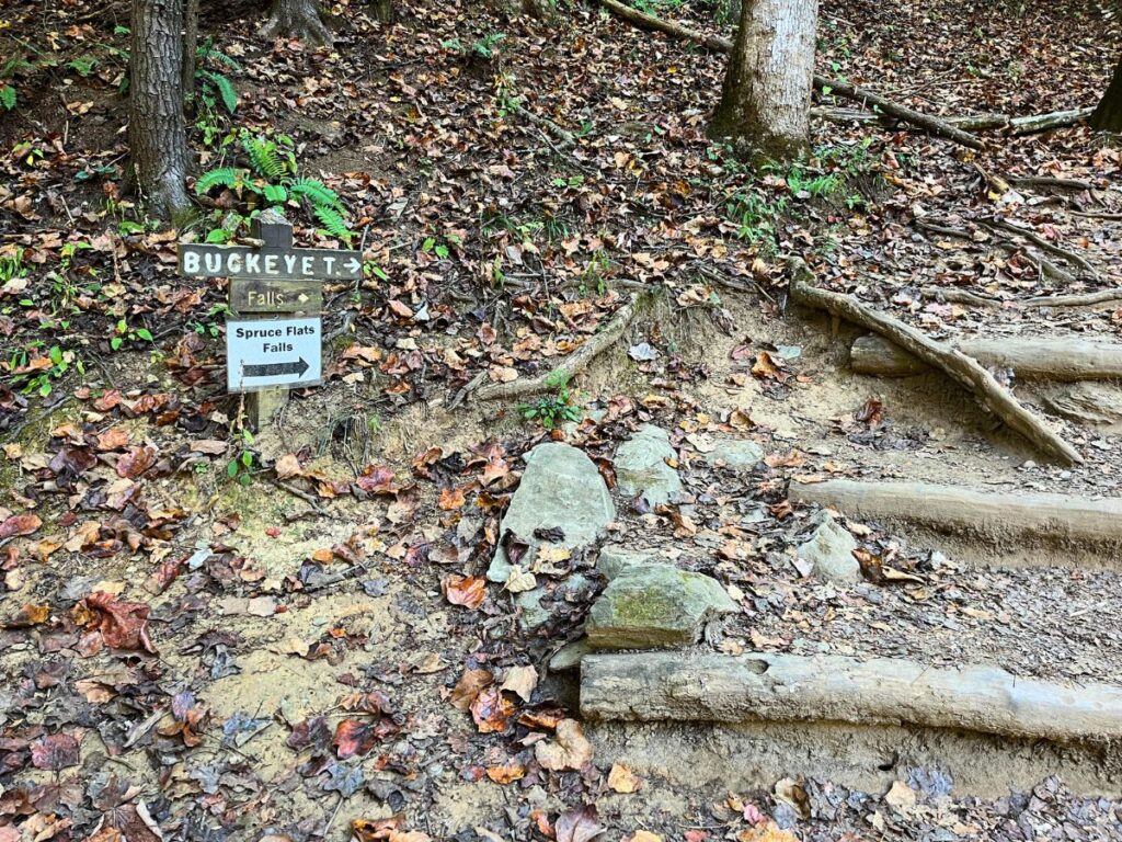 a wooden sign in the ground points the way to Buckeye Trail, with a paper print out stating "spruce flat falls" with an arrow pointing right