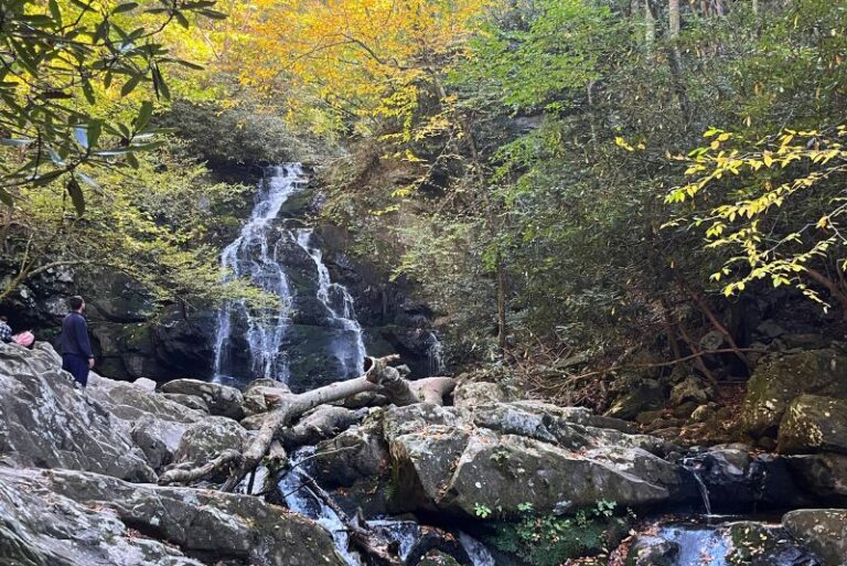 spruce flats falls in Great Smoky Mountains national park. A waterfall with bright yellow leaves framing the picture. Water flows over a few levels of rocks at the bottom