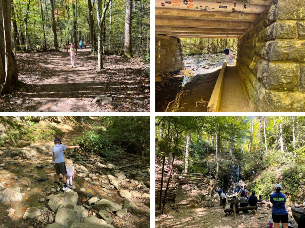 4 image collage of Cataract Falls Trail in Great Smoky Mountains national park.  top left is a young girl walking on a flat, wide dirt trail in the trees.  Top right is a child going under a bridge along a skinny trail on the right side.  Bottom left is 2 kids crossing a shallow creek on rocks.  Bottom right is a small viewing area for Cataract Falls, with people standing and sitting on a single bench facing a small falls in the background