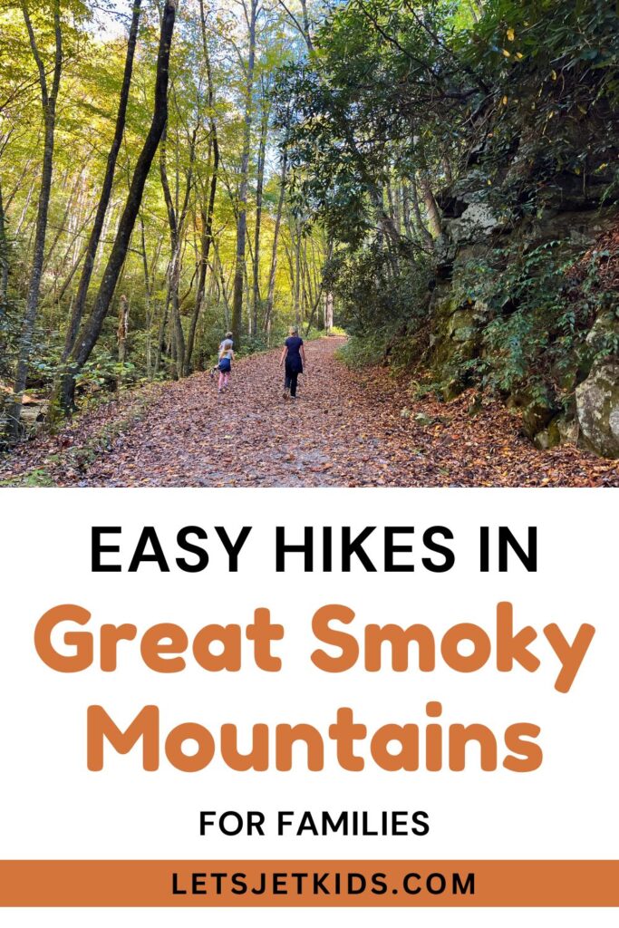 pinnable image of "Easy hikes in Great Smoky Mountains for families" On top is an image of two kids walking on a wide, flat, leaf-covered path with trees to both sides